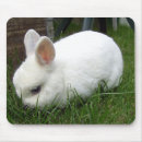 Suche nach hasen mousepads Kaninchen