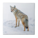 Suche nach krankheit fliesen Grenze danita