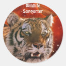 Suche nach amur Tierwelt