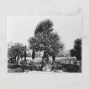 Suche nach gethsemane postkarten Jesus