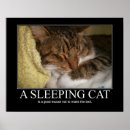 Suche nach sleeping poster Cat