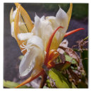 Suche nach exotische fliesen Blüte