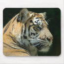 Suche nach sumatran mousepads Zoo