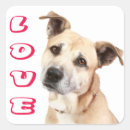 Suche nach amstaff aufkleber Liebe