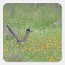 Suche nach nussbaum aufkleber Wildtier