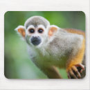 Suche nach gemein mousepads Tier