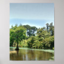 Suche nach florida poster Sumpf