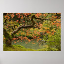 Suche nach ahornbaum poster Japanisch