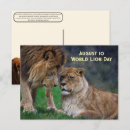 Suche nach afrikanischer löwe postkarten Löwenpostkarte