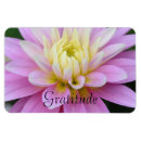 Suche nach dahlien magnete Blumen