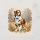 Suche nach australian shepherd postkarten Haustiere