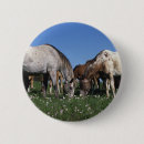 Suche nach weiden buttons Pferd