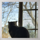 Suche nach katze fenster poster Tiere