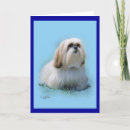 Suche nach lhasa karten Apso