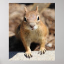 Suche nach niedliche gesichter poster Natur