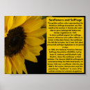 Suche nach symbolismus poster Blume