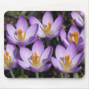 Suche nach kreuzen mousepads Fotografie