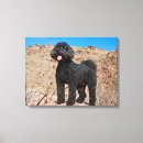 Suche nach stehend leinwandbilder Hund