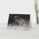 Suche nach appaloosa karten Schnee