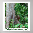 Suche nach tierwelt poster Orang utan