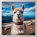 Suche nach anden berge poster Lama