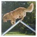 Suche nach balance fliesen Agility