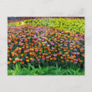 Suche nach bunte tulpen poster Mehrfarbig