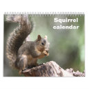 Suche nach eichhörnchen kalender Nagetier