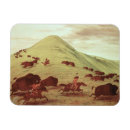 Suche nach büffel magnete Amerika