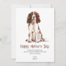 Suche nach sprungbrett postkarten Niedlich