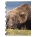 Suche nach braunbär kleine notizbücher Tier