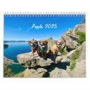 Suche nach puggles Mops