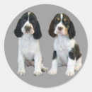 Suche nach englischer springer spaniel aufkleber Sprungbrett