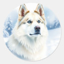 Suche nach sibirischer husky aufkleber Zäh