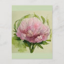 Suche nach rosa pfingstrosen postkarten Aquarell