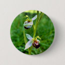 Suche nach orchideen buttons Natur