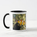 Suche nach clownfish tassen Natur
