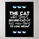 Suche nach lustiges poster Niedliche katze