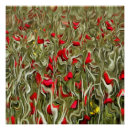 Suche nach surrealistische kunst Surrealismus