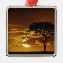 Suche nach malerische ornamente Wolke