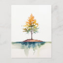 Suche nach ahornbaum postkarten Fall