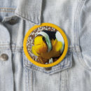 Suche nach clownfische buttons Meeresleben