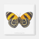 Suche nach pretty magnete Animals