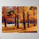 Suche nach espen poster Natur