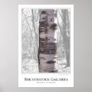Suche nach birch tree poster Natur