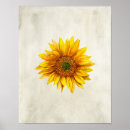 Suche nach landschaften poster Drucken