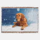 Suche nach golden retriever decken Blau