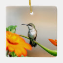 Suche nach nektar ornamente Blume