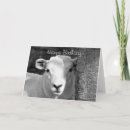 Suche nach weiße schafe karten Niedlich