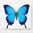 Suche nach schmetterlinge und motten mousepads Tiere